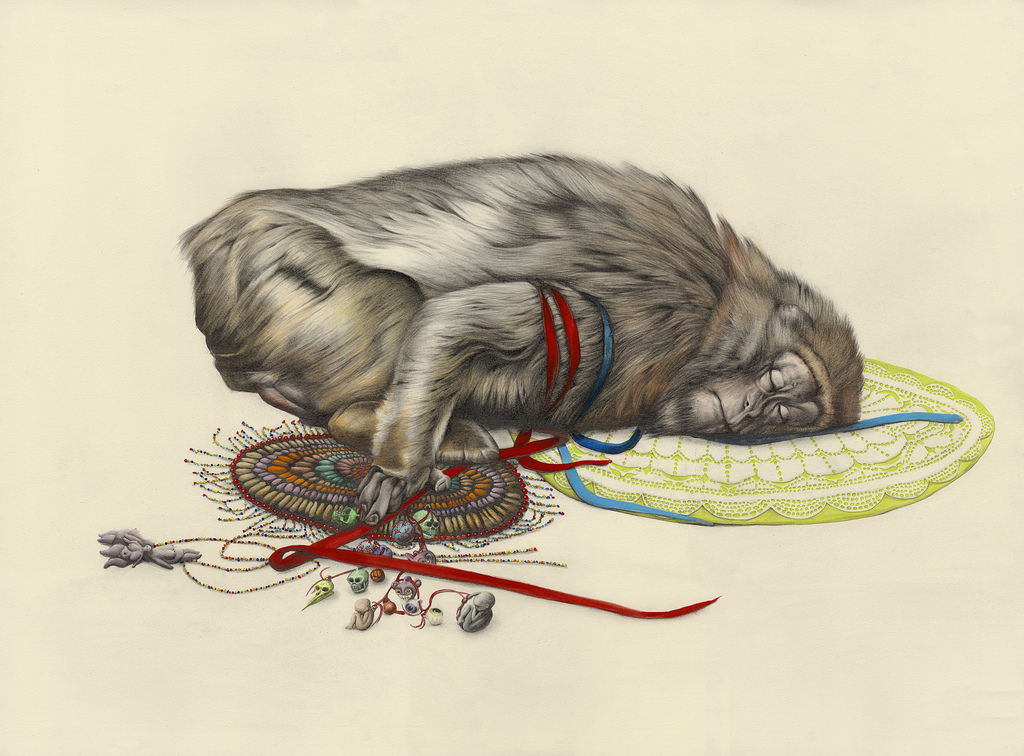 Lace Monkey