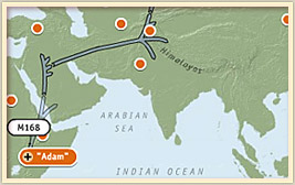 My paternal ancestors migratory pattern
