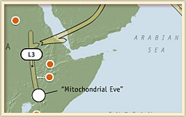 my mother's maternal migratory pattern